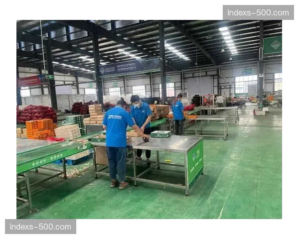 快递物流切入现场领物环节 减轻选手差旅负担